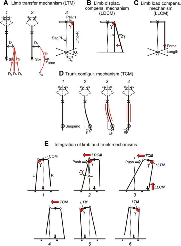 Figure 13.