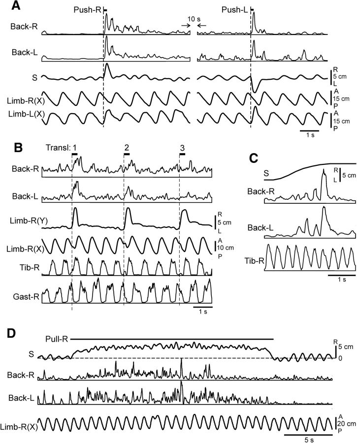 Figure 11.