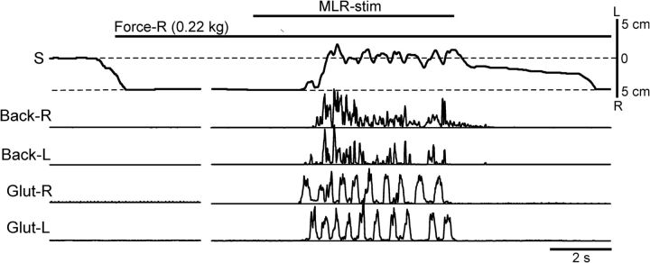 Figure 12.