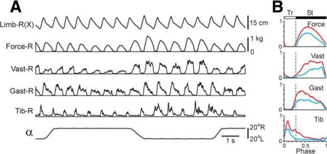 Figure 9.