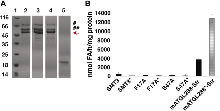 Figure 3