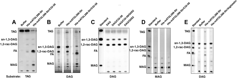 Figure 5