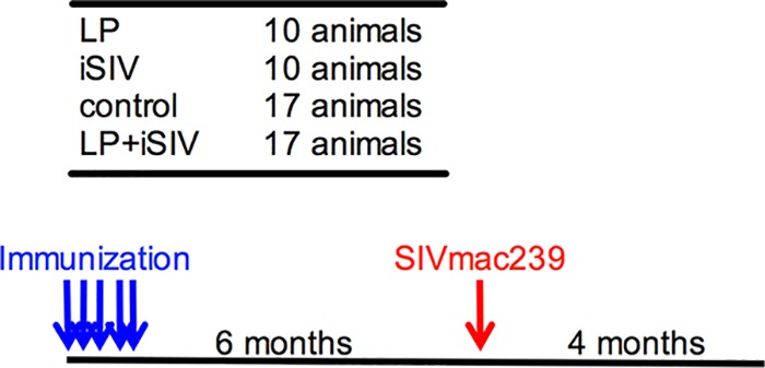 FIG 1