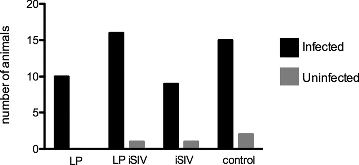 FIG 3