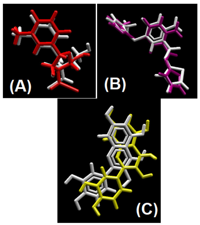Figure 13
