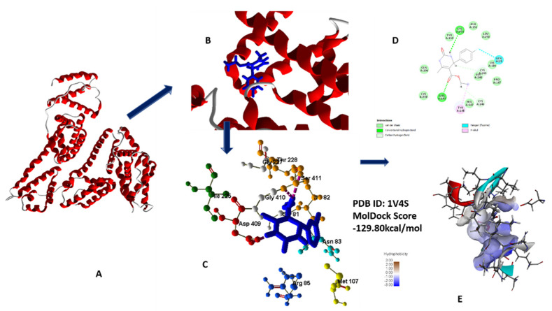 Figure 11