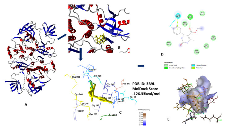 Figure 12