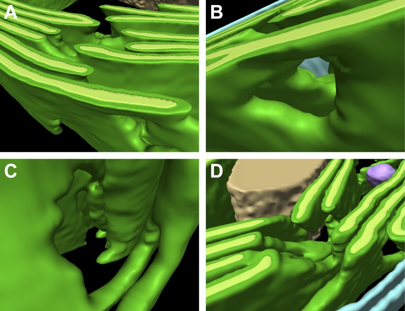 Figure 5.