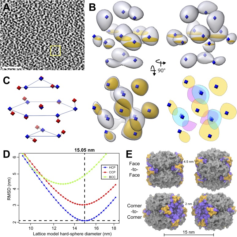 Figure 12.