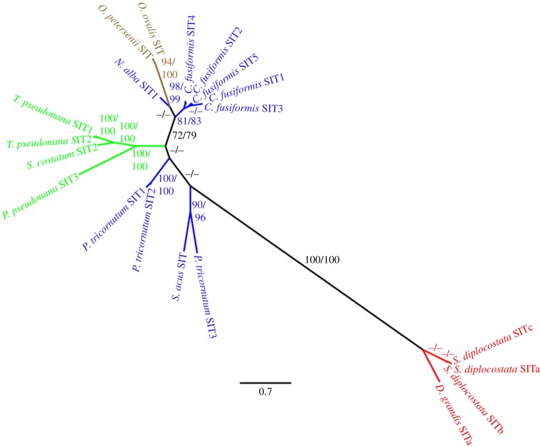 Figure 3.