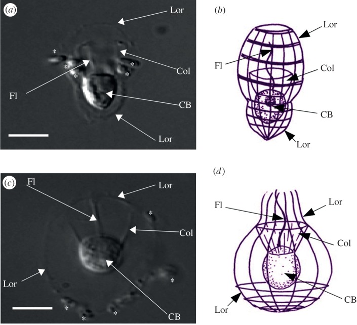 Figure 1.