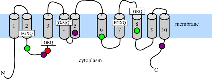 Figure 4.