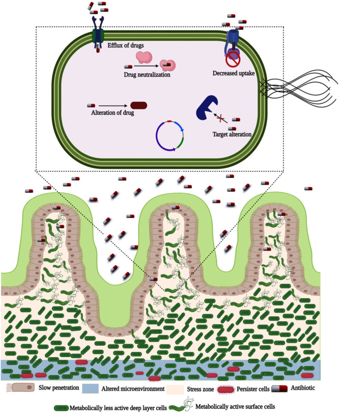 FIGURE 3