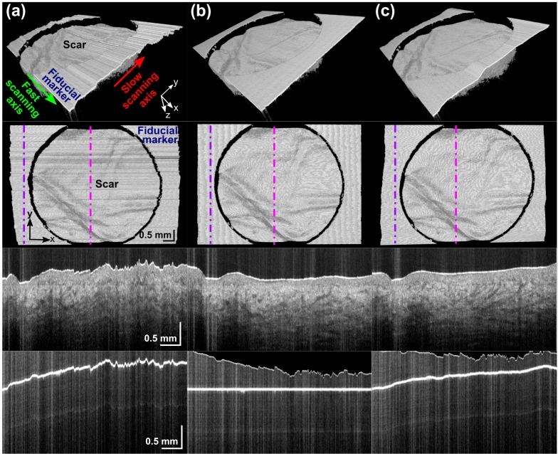 Fig. 3