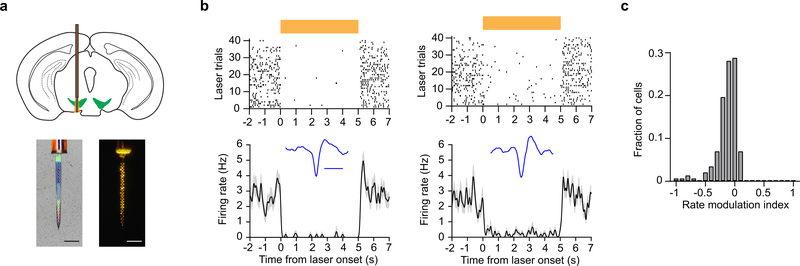 Extended Data Fig. 1: