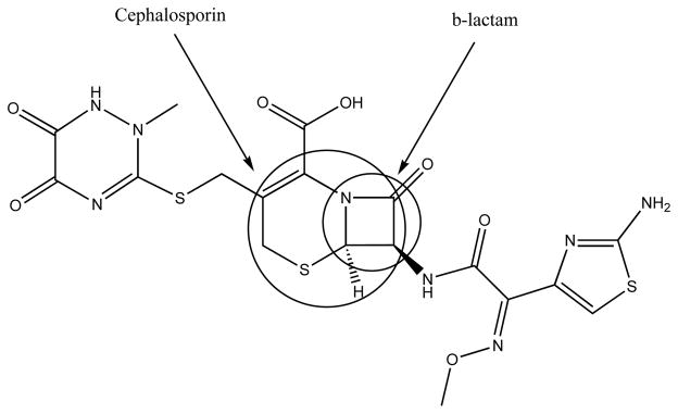 Fig. (2)