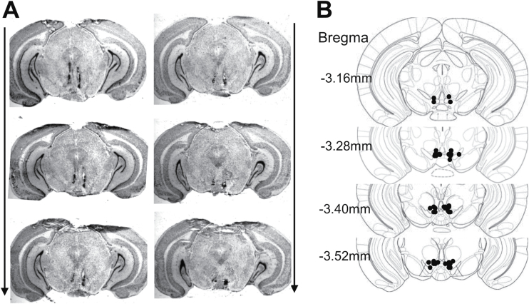 Figure 5.