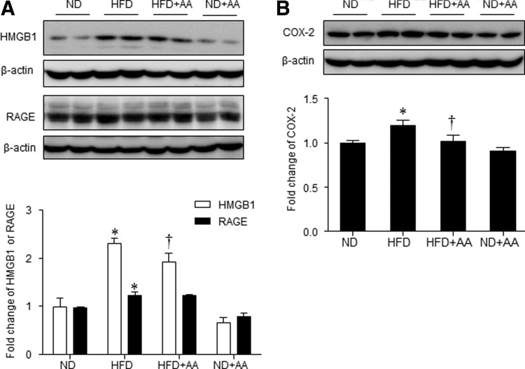 FIG. 6.