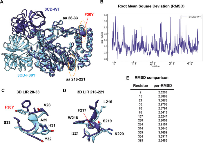 Figure 10.