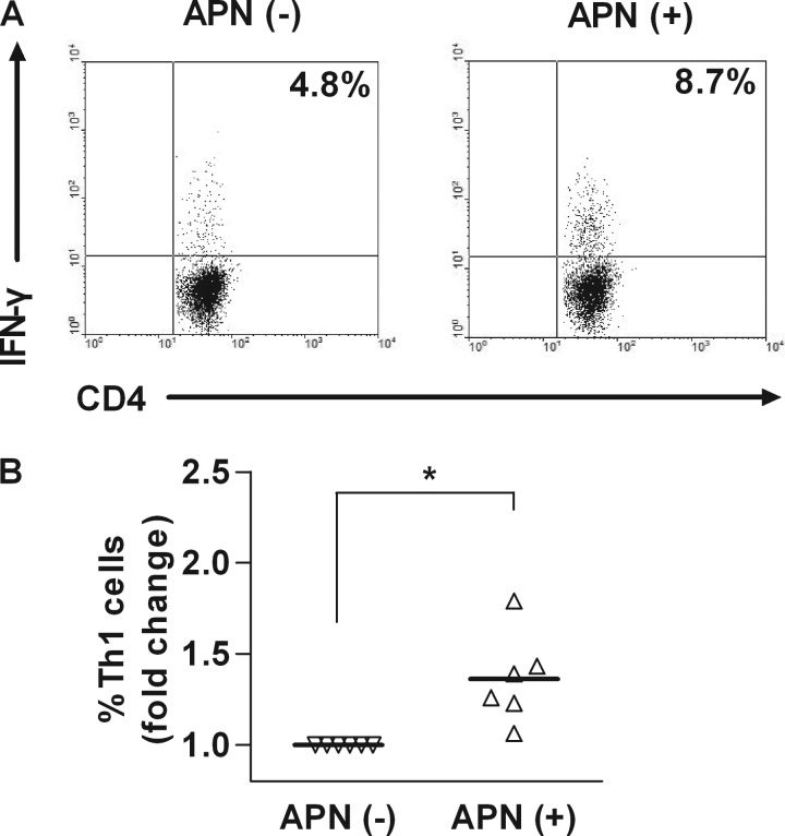 FIGURE 4.