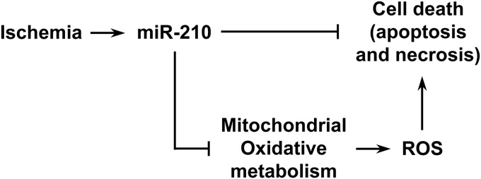 FIG. 10.