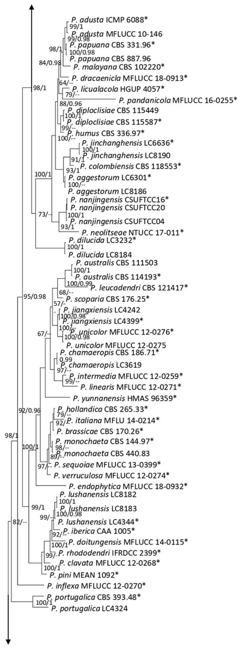 Figure 13