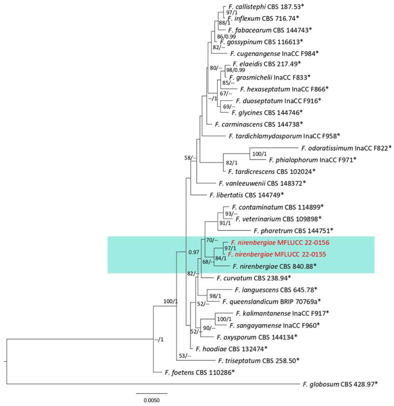 Figure 37