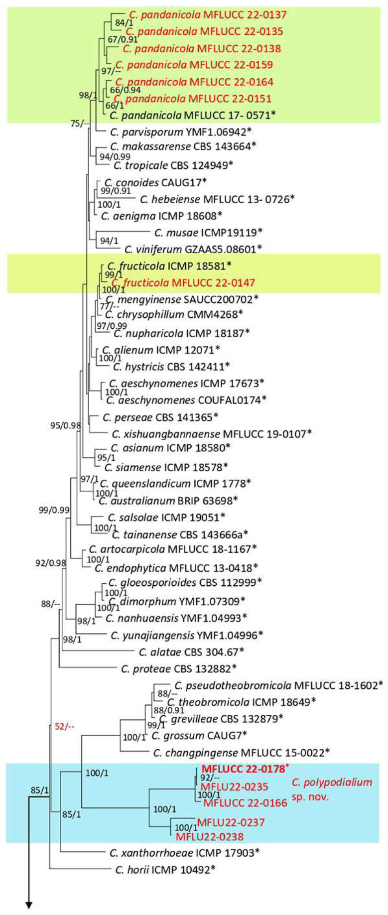 Figure 21