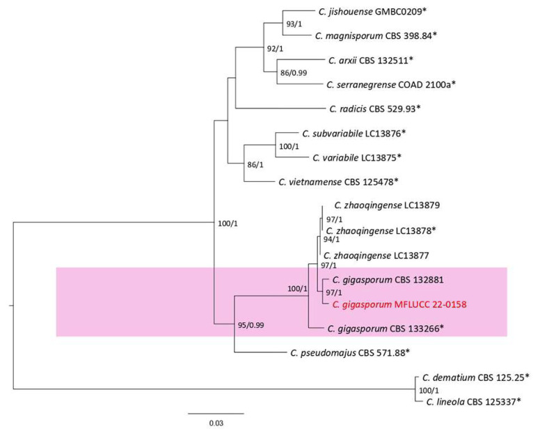 Figure 26