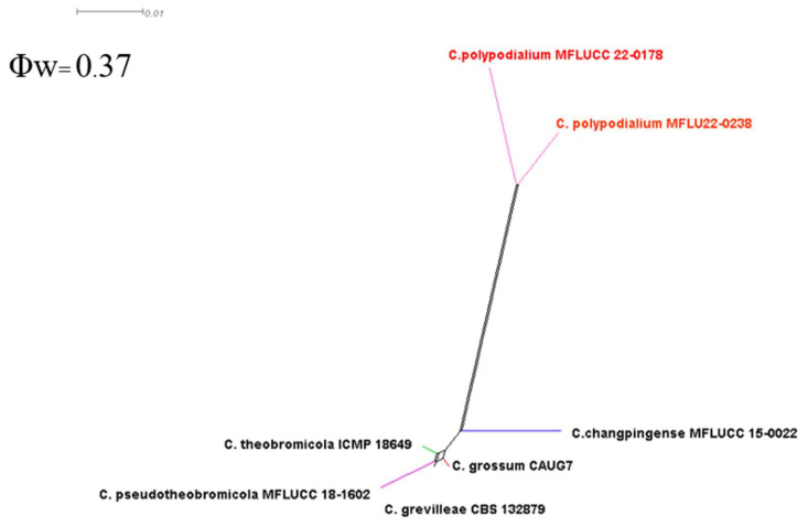 Figure 25