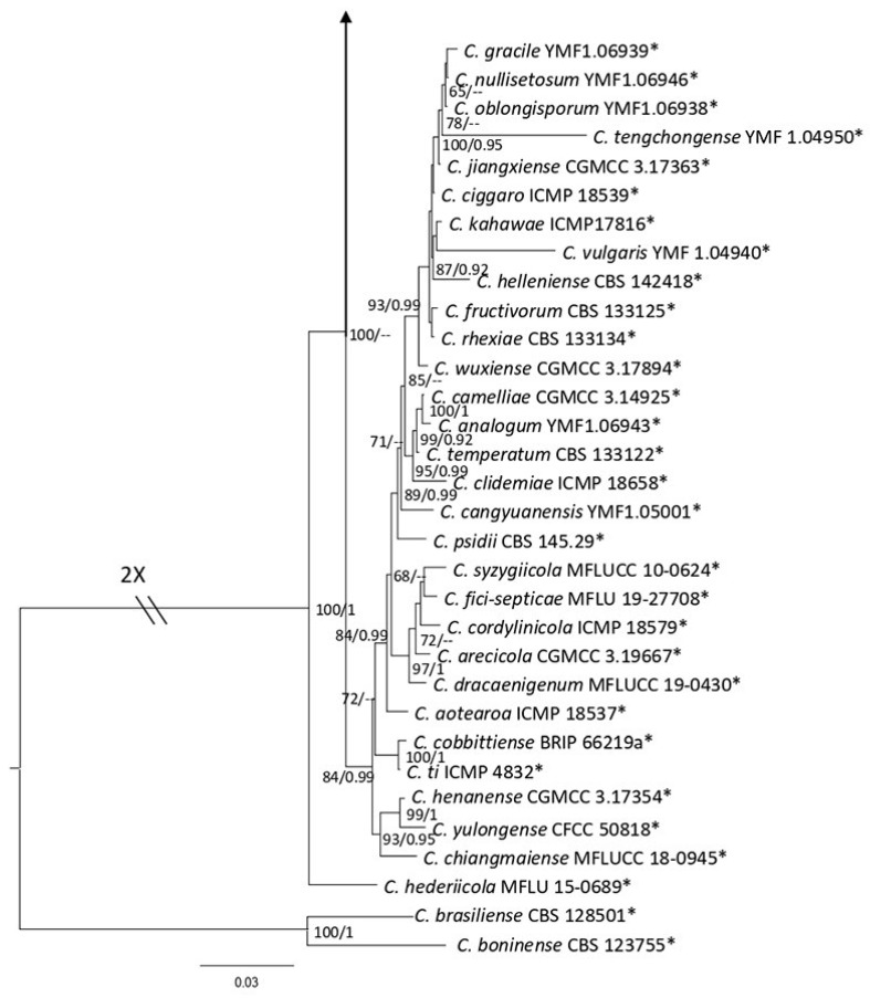 Figure 21