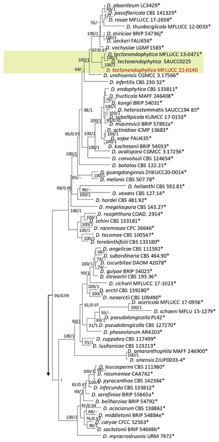 Figure 19