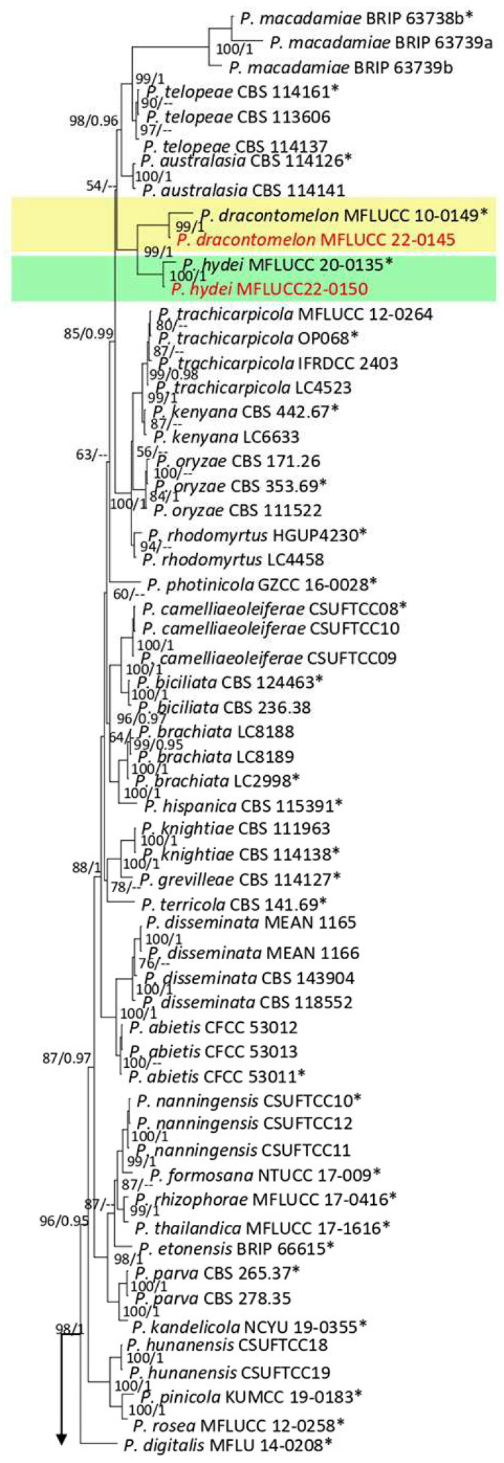 Figure 13