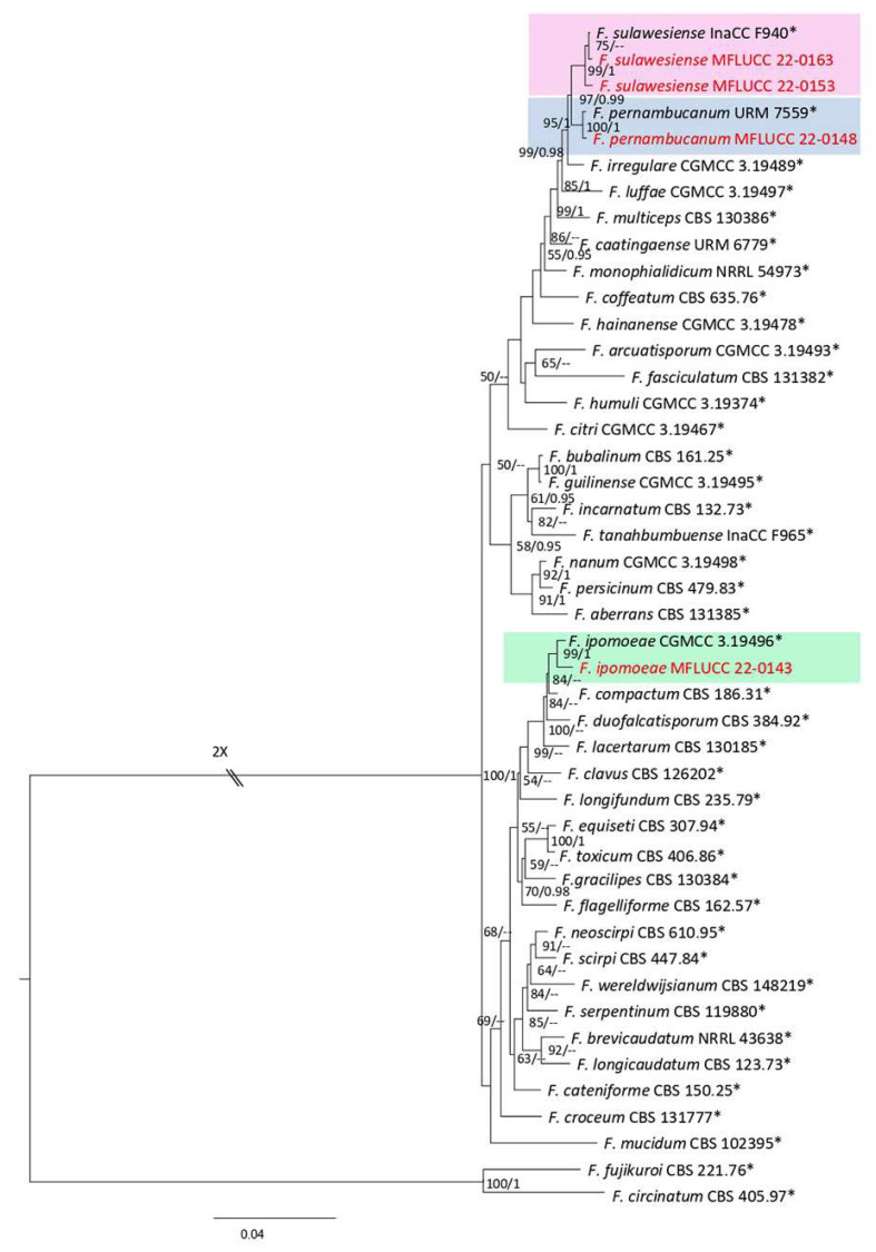 Figure 33