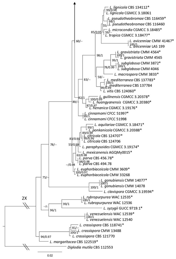 Figure 1