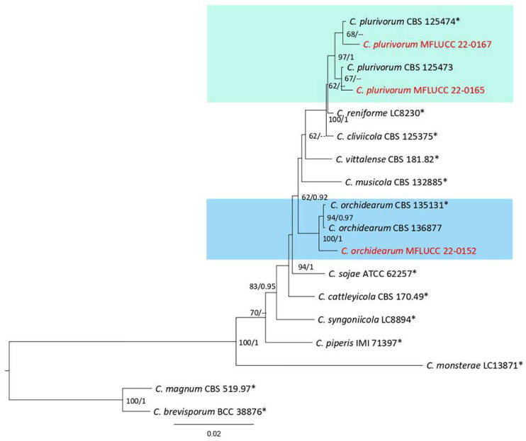 Figure 28