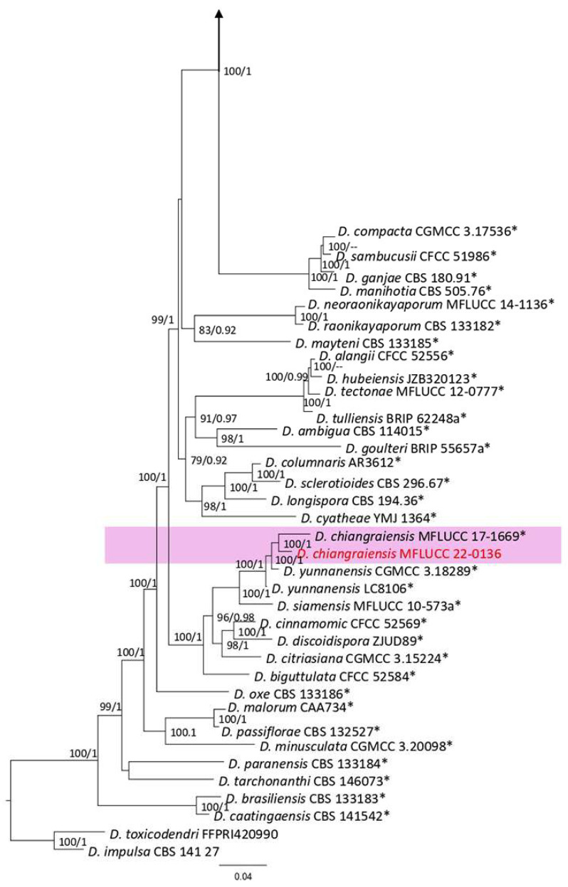 Figure 19