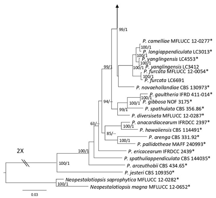 Figure 13