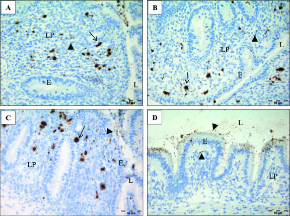 FIG. 2.