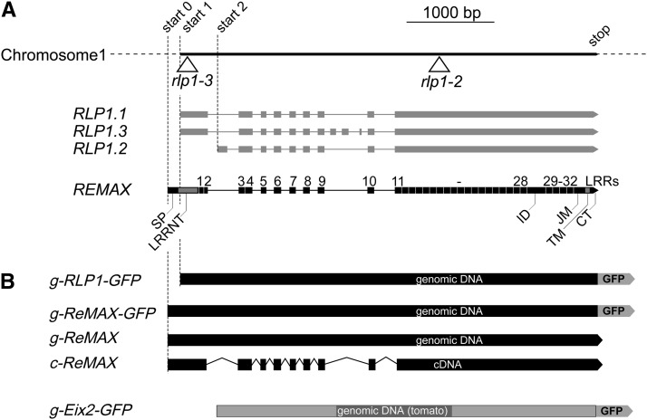 Figure 3.