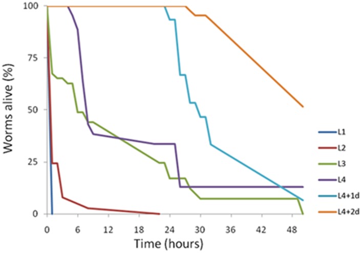 FIGURE 2