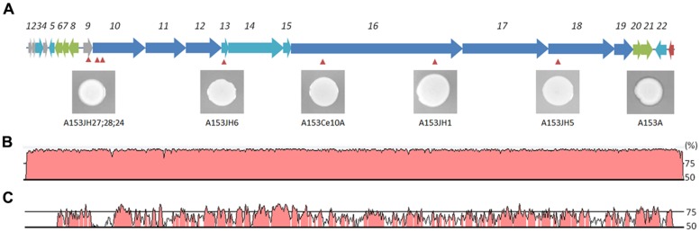 FIGURE 4