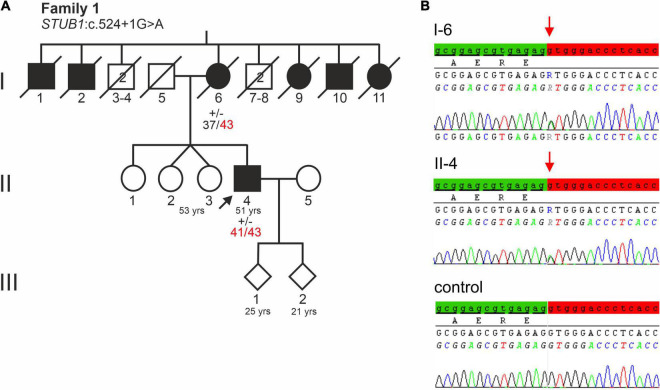 FIGURE 1