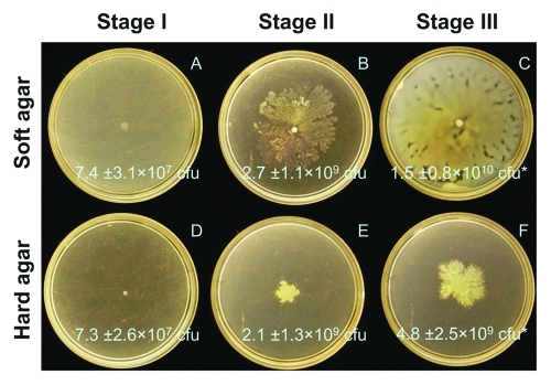 Figure 1.