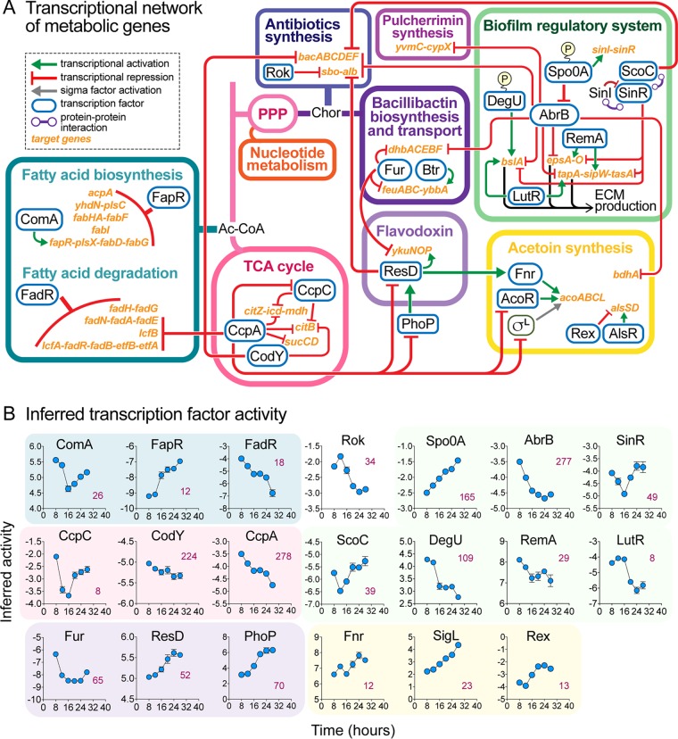 FIG 10