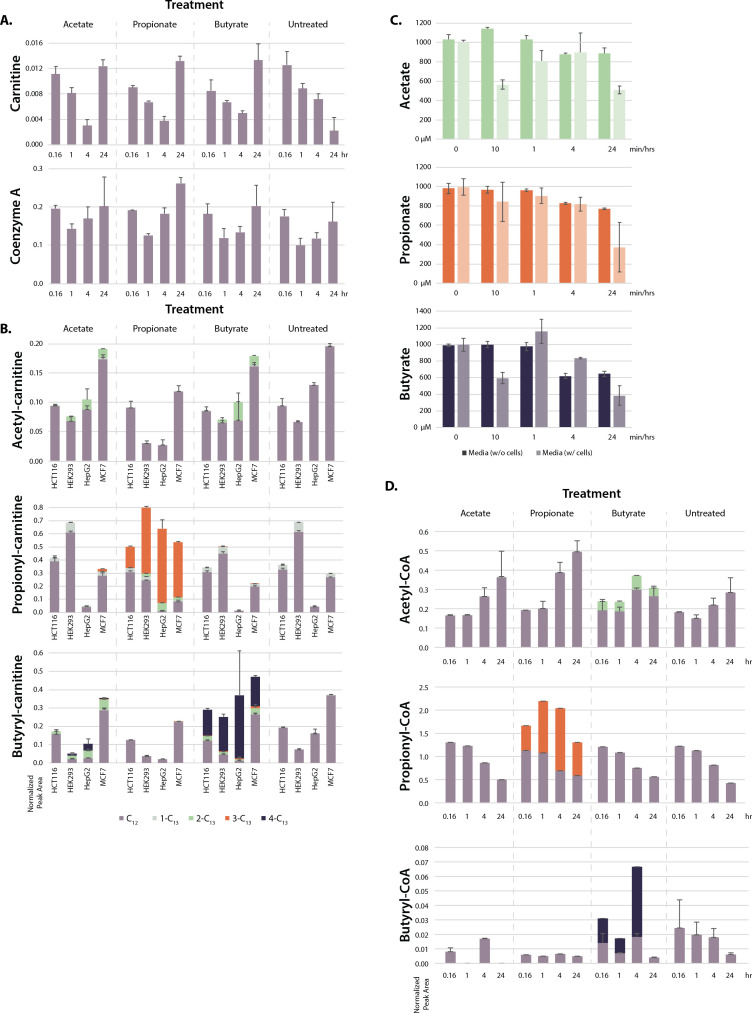 Figure 2—figure supplement 1.