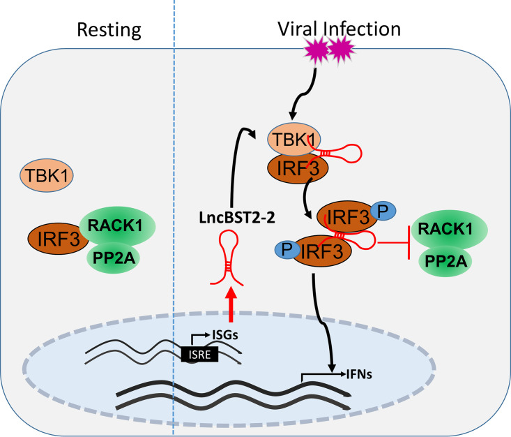 FIG 10