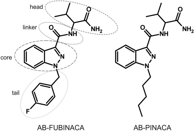 Fig. 1