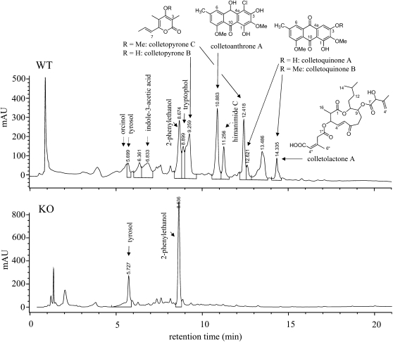 Figure 3.