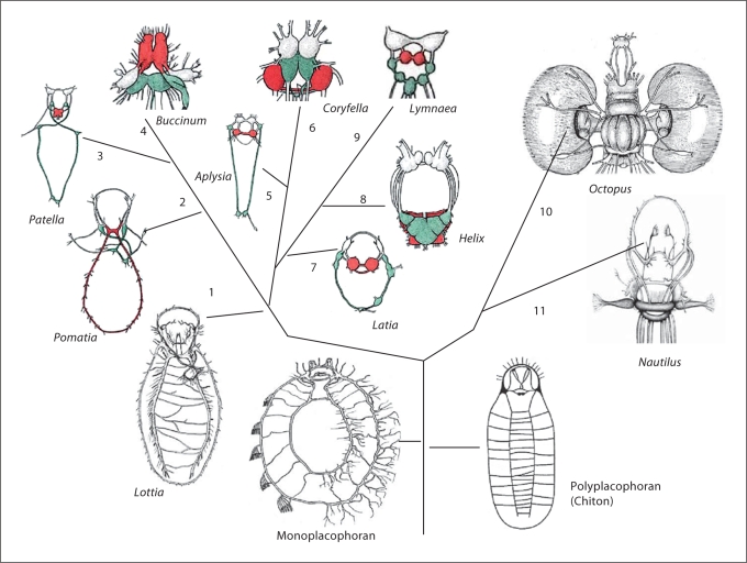 Fig. 2